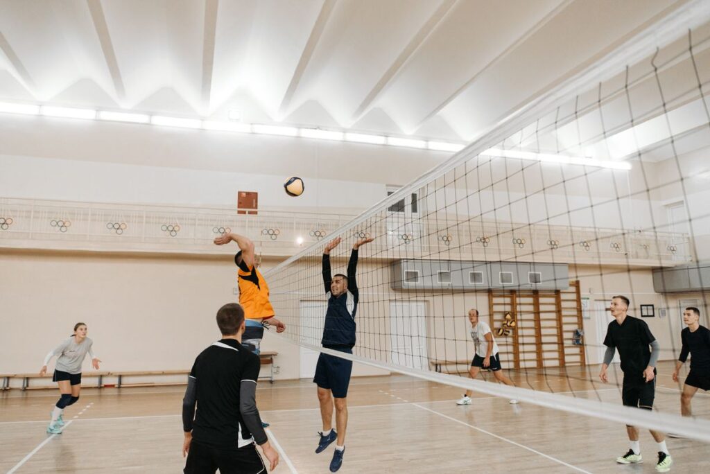 Voleybol filesi