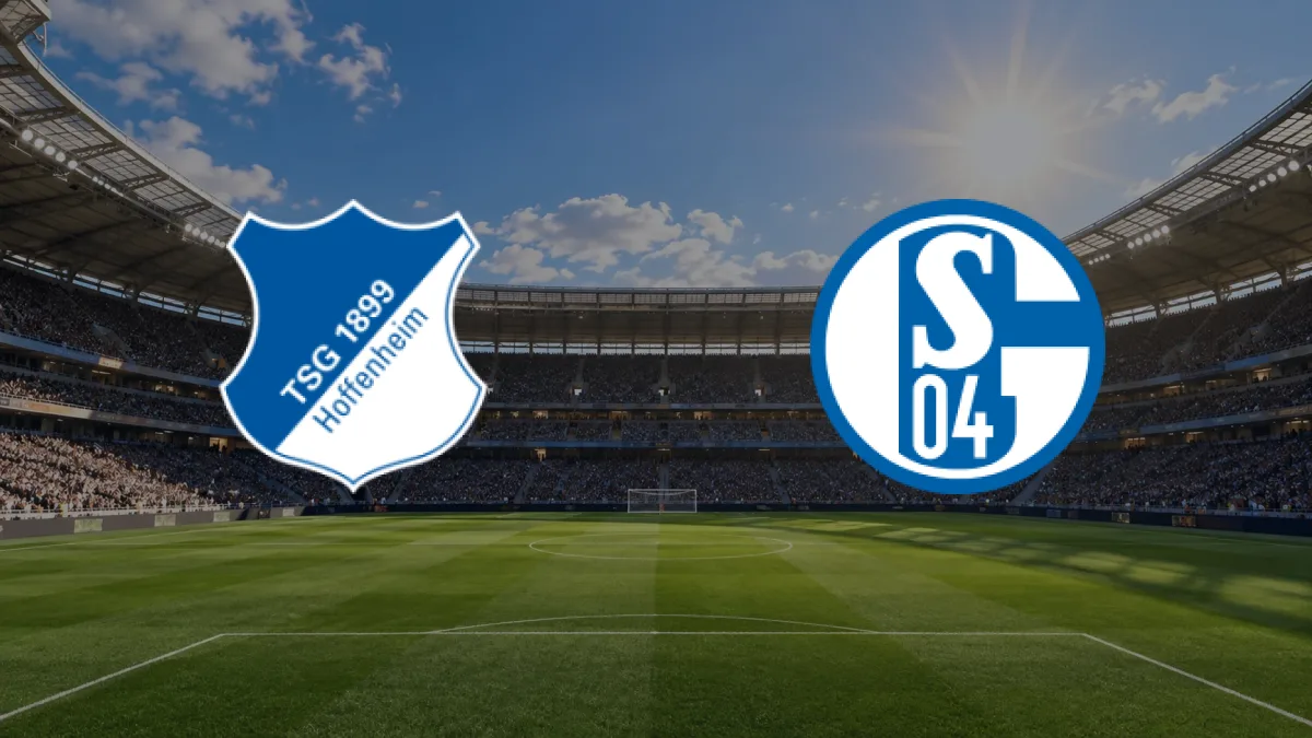 Hoffenheim - Schalke 04 maçı